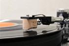 CHARISMA CHARM- Moving coil Cartridge