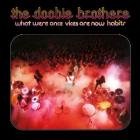THE DOOBIE BROTHERS-WHAT WERE ONCE VICES