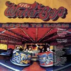 THE WATERBOYS-ROOM TO ROAM