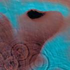 PINK FLOYD- Meddle
