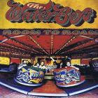 THE WATERBOYS-Room to Roam